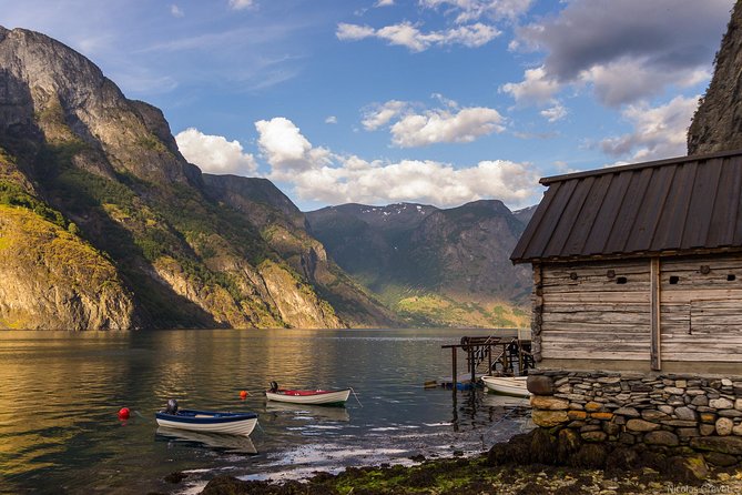 Oslo to the Fjords and Bergen With Optional Cruise in Flåm - Key Points