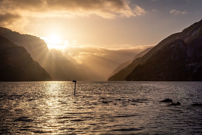 Oslo to the Fjords and Bergen With Optional Cruise in Flåm - Private Driver for Photos