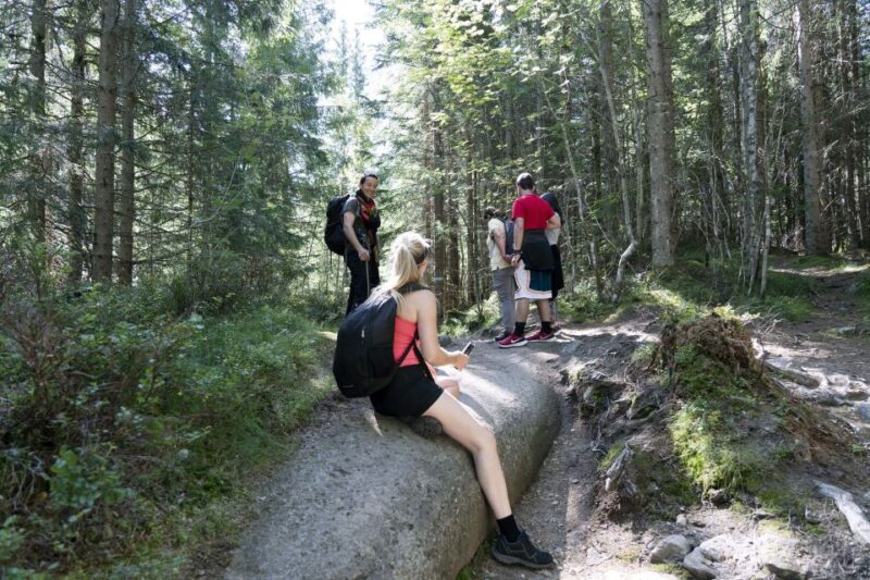 Oslo: Vettakollen Hike With Oslofjord View - Pricing and Booking Information