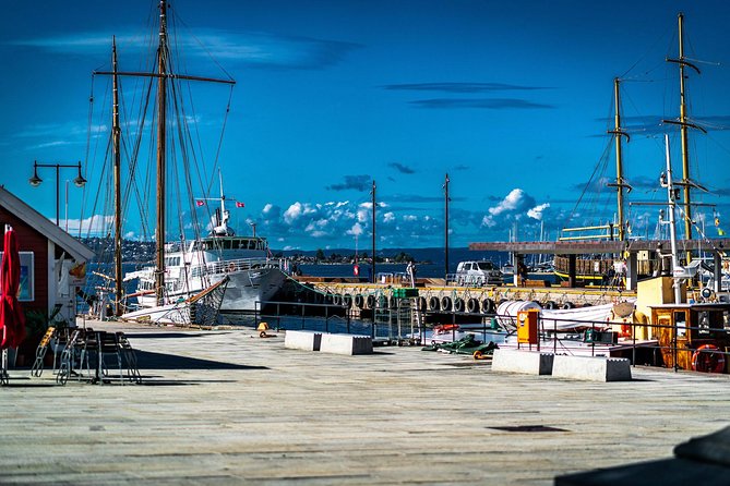 Oslo & Vigeland Park Private Walking Tour - Discovering Aker Brygge
