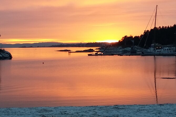 Oslo Winter Highlights Bike Tour - Guest Experiences