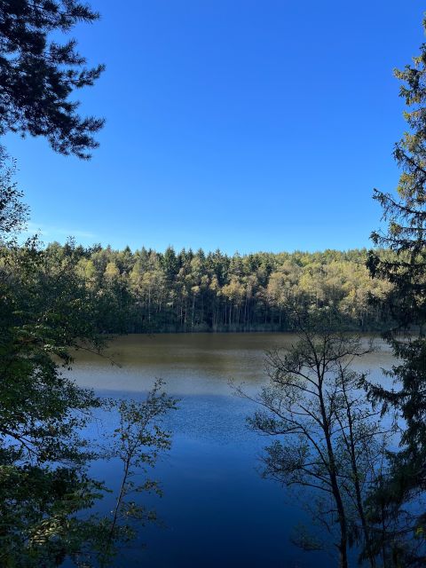 Oslo: Yoga & Nature Walk With Yoga Teacher & Dog - Key Points