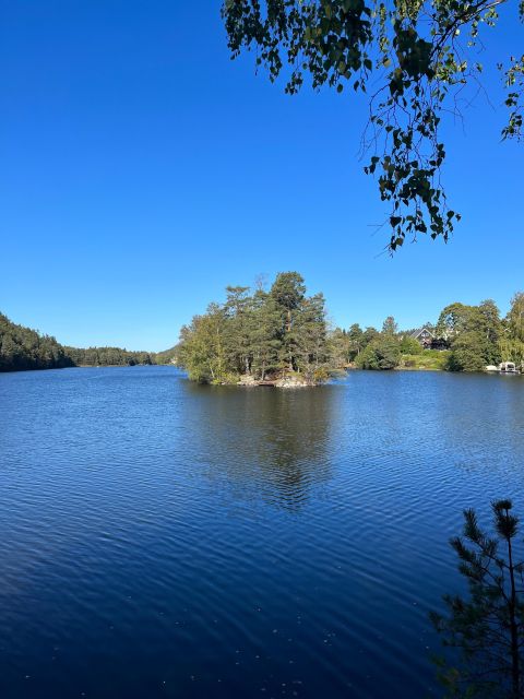 Oslo: Yoga & Nature Walk With Yoga Teacher & Dog - Participant Restrictions