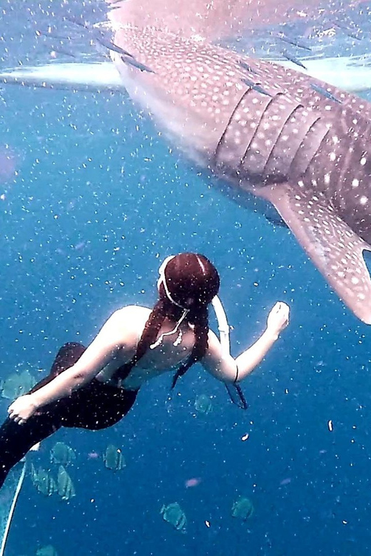 Oslob & Badian: Whaleshark Watching & Kawasan Canyoneering - Itinerary and Adventure Details