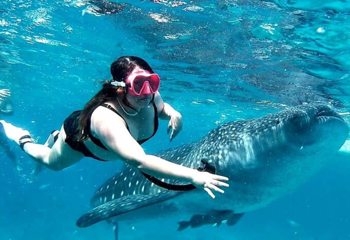 Oslob & Badian: Whaleshark Watching & Kawasan Canyoneering - Whale Shark Watching Experience