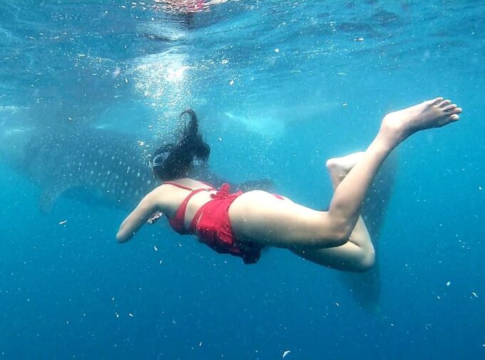 Oslob & Badian: Whaleshark Watching & Kawasan Canyoneering - Transportation and Pickup Locations