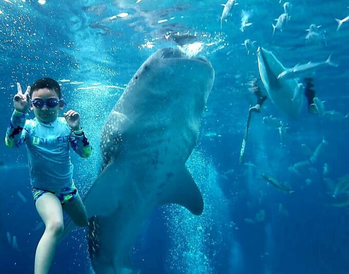 Oslob & Badian: Whaleshark Watching & Kawasan Canyoneering - Frequently Asked Questions
