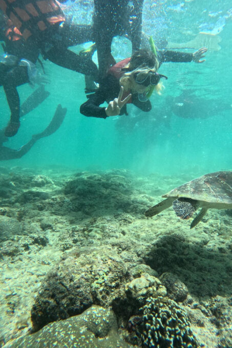 Oslob & Sumillon Island Cebu - Booking and Cancellation Policy