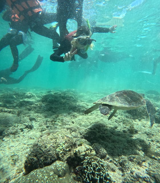 Oslob & Sumillon Island Cebu - Frequently Asked Questions