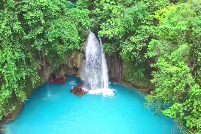 Oslob Whale Shark and Kawasan Falls Day Tour - Meeting and Pickup