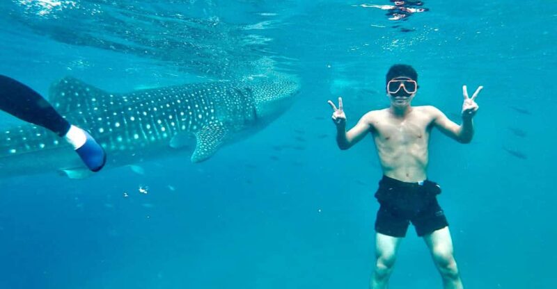 Oslob Whale Shark Direct - Itinerary Details