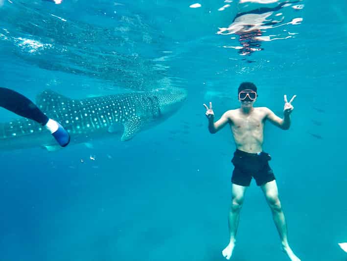 Oslob Whale Shark Direct - Included Services