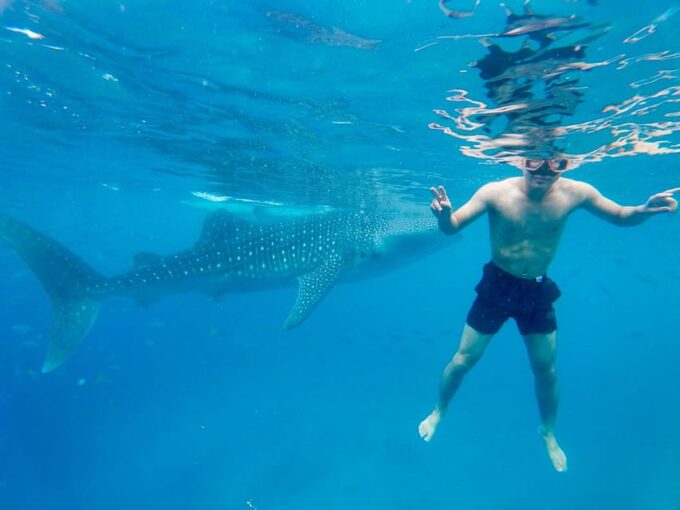 Oslob Whale Shark Direct - Frequently Asked Questions
