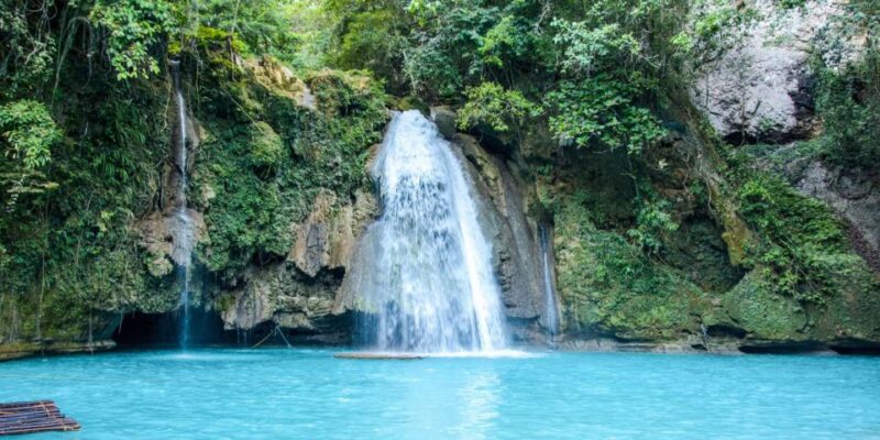 Oslob Whale Shark Encounter With Kawasan Canyoonering - Booking Information