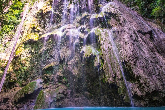 Oslob Whale Shark Group Tour With Sumilon Island & Tumalog Falls - Diverse Landscapes Exploration