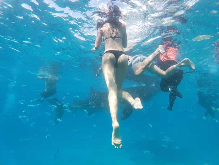 Oslob Whale Shark & Kawasan Canyoneering - Whale Watching and Canoeing