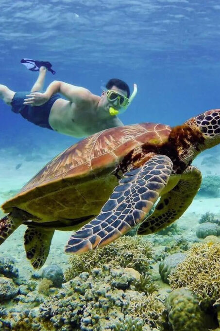 Oslob Whale Shark & Moalboal Snorkeling - Moalboal Snorkeling