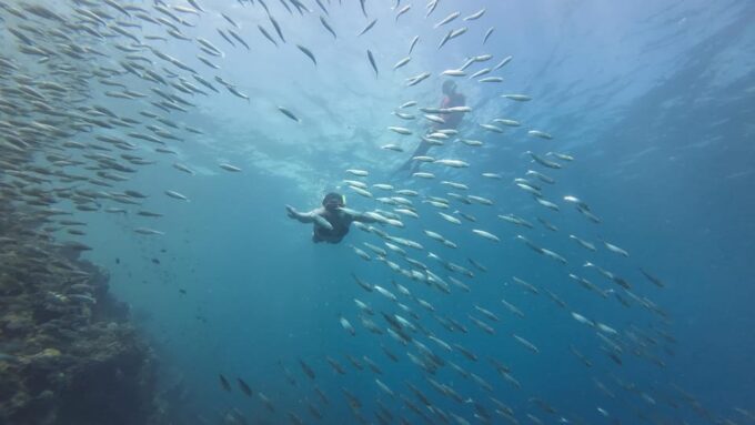 Oslob Whale Shark & Moalboal Snorkeling - Additional Snorkeling Tours