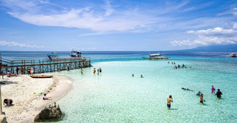 Oslob Whale Shark Snorkeling & Island Hopping to Sumilon - Experience Highlights