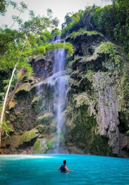 Oslob: Whale Shark Swimming, Tumalog Falls, Sumilon Sandbar - Pricing and Booking Information