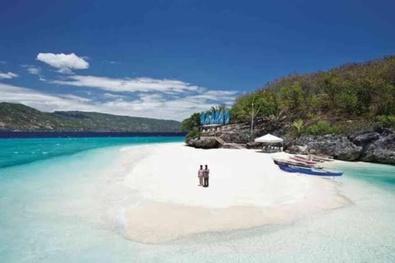 Oslob: Whale Shark Swimming, Tumalog Falls, Sumilon Sandbar - Tour Schedule and Itinerary