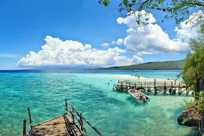 Oslob Whale Shark & Tumalog Waterfalls & Sumilon Sandbar - A Closer Look at the Itinerary