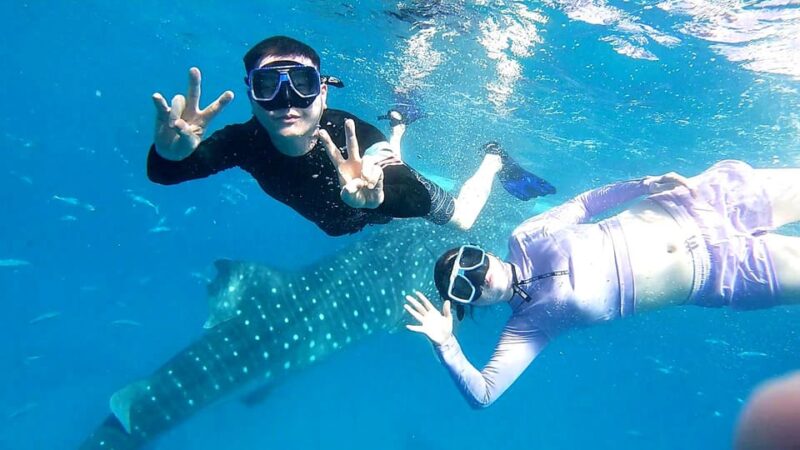 Oslob: Whale Shark Watching Experience - Booking Details