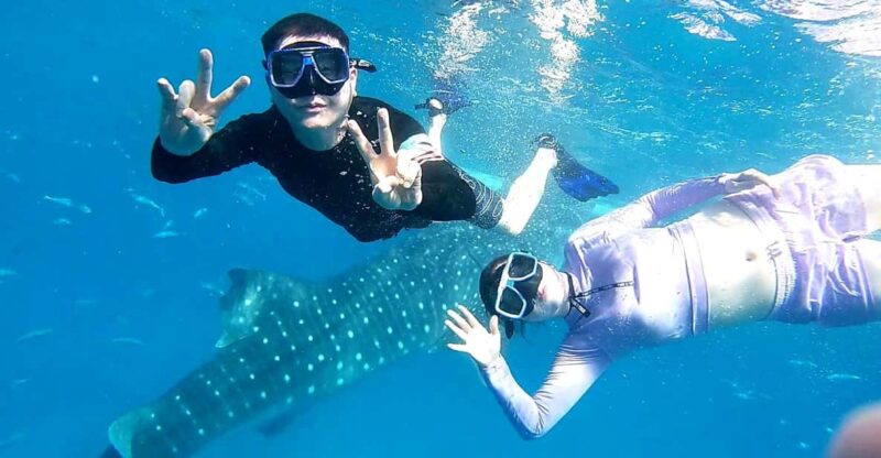 Oslob: Whale Shark Watching Experience - Pickup and Drop-off Locations