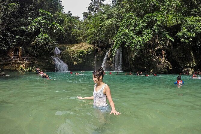 Oslob Whale Shark Watching + Kawasan Falls Day Tour - Overview of the Experience