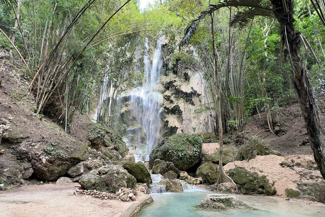 Oslob Whale Shark Watching + Kawasan Falls Day Tour - Transportation, Timing, and Group Size