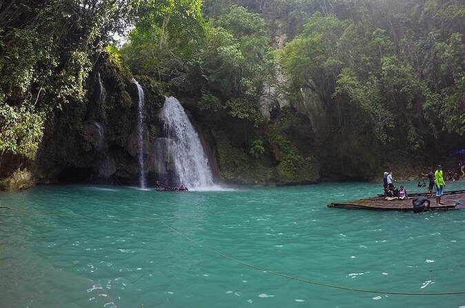 Oslob Whale Shark Watching + Kawasan Falls Day Tour - What Travelers Say: Real Experiences
