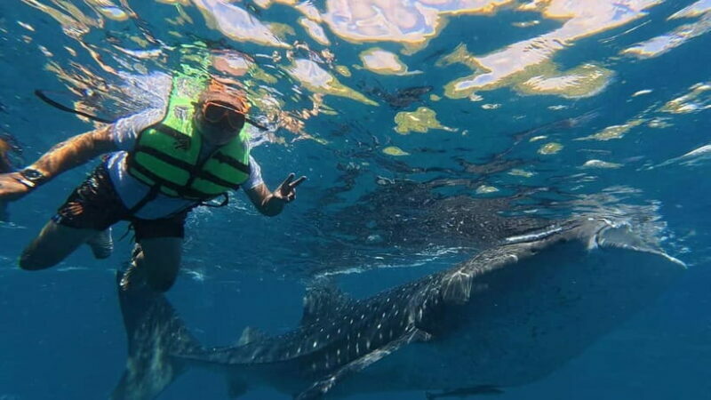 Oslob: Whale Shark Watching Private tour - Who Should Consider This Tour?
