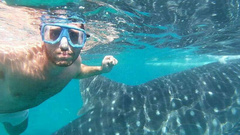 Oslob: Whale Sharks, Inambakan Falls & Moalboal Sardines - Key Points