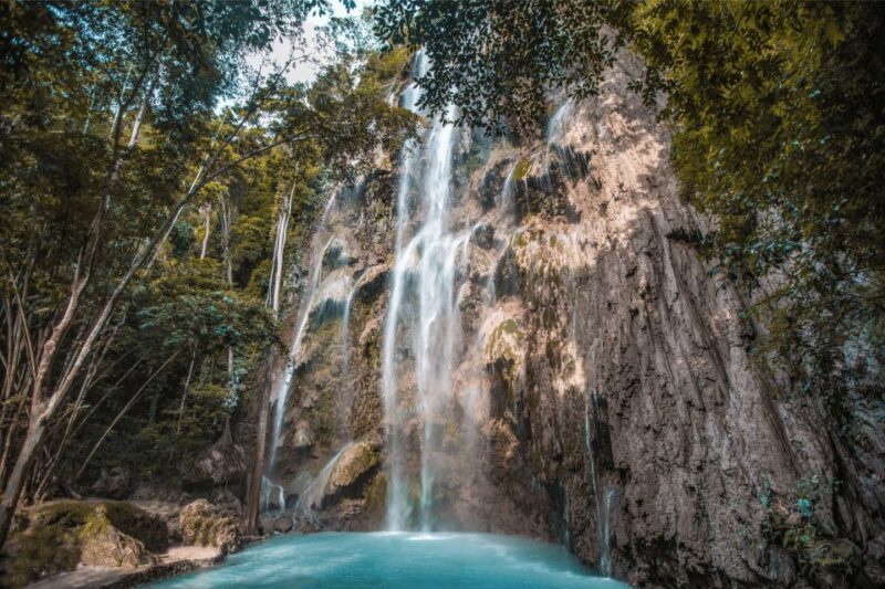 Oslob: Whale Sharks, Tumalog Falls, and Monkeys Private Tour - Itinerary and Activities