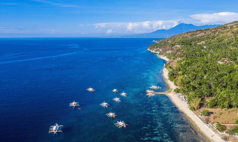 Oslob: Whale Sharks, Tumalog Falls, and Monkeys Private Tour - Tour Highlights