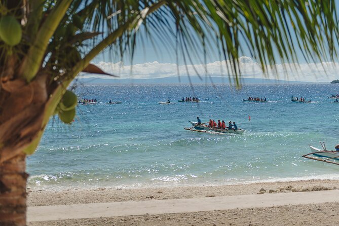 Oslob Whaleshark and Kawasan Falls Tour - Booking Confirmation and Rates