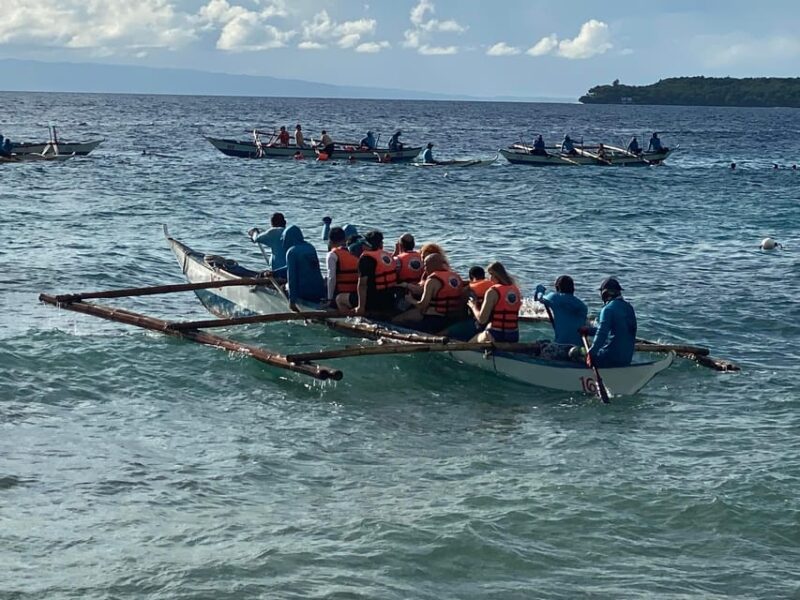 Oslob Whaleshark & Kawasan Falls Tour - Important Information