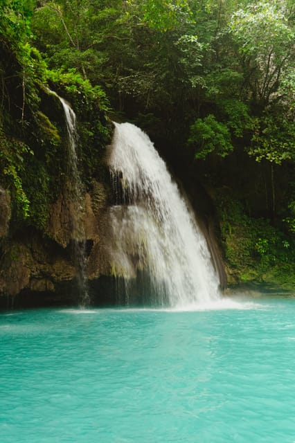 Oslob Whaleshark & Kawasan Falls Tour - Whalesharks Encounter