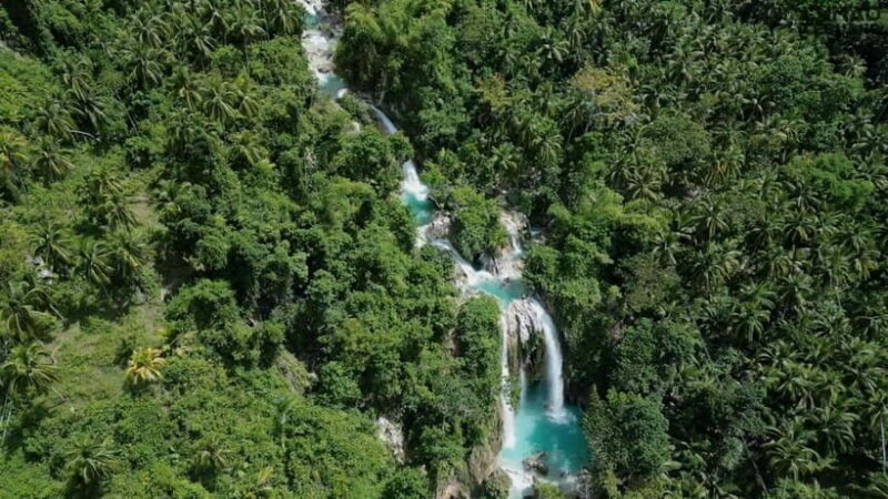 Oslob: Whaleshark Swimming, Inambakan Falls & Moalboal Tour - What’s Included and What’s Not