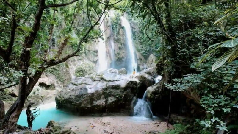 Oslob: Whaleshark Swimming, Inambakan Falls & Moalboal Tour - Final Thoughts