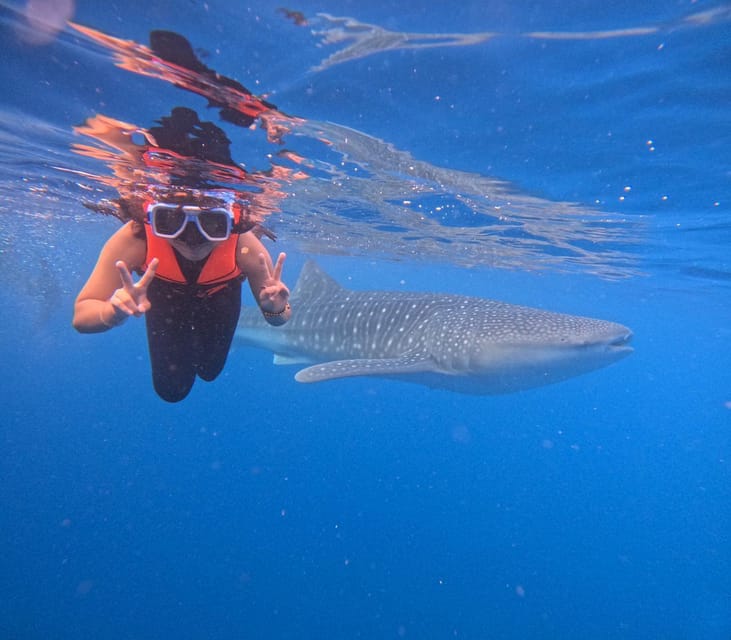 Oslob: Whaleshark Swimming & Sumilon Island Hopping Day Tour - Key Points