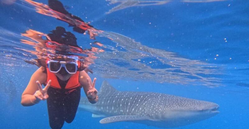 Oslob: Whaleshark Swimming & Sumilon Island Hopping Day Tour - Itinerary and Experience