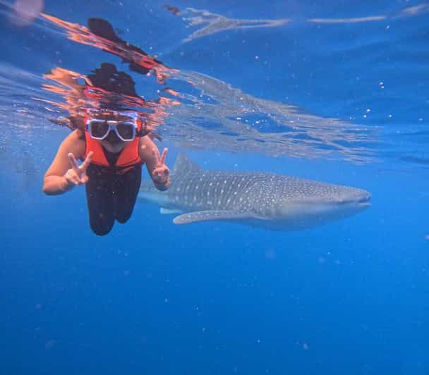 Oslob: Whaleshark Swimming & Sumilon Island Hopping Day Tour - Inclusions