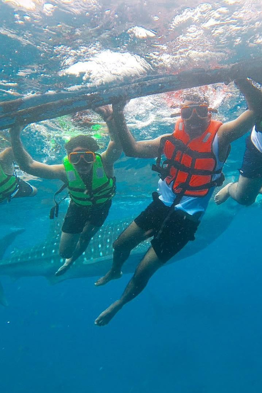 Oslob: Whaleshark Swimming & Sumilon Island Hopping Day Tour - What to Bring