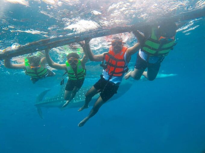 Oslob: Whaleshark Swimming & Sumilon Island Hopping Day Tour - Additional Details