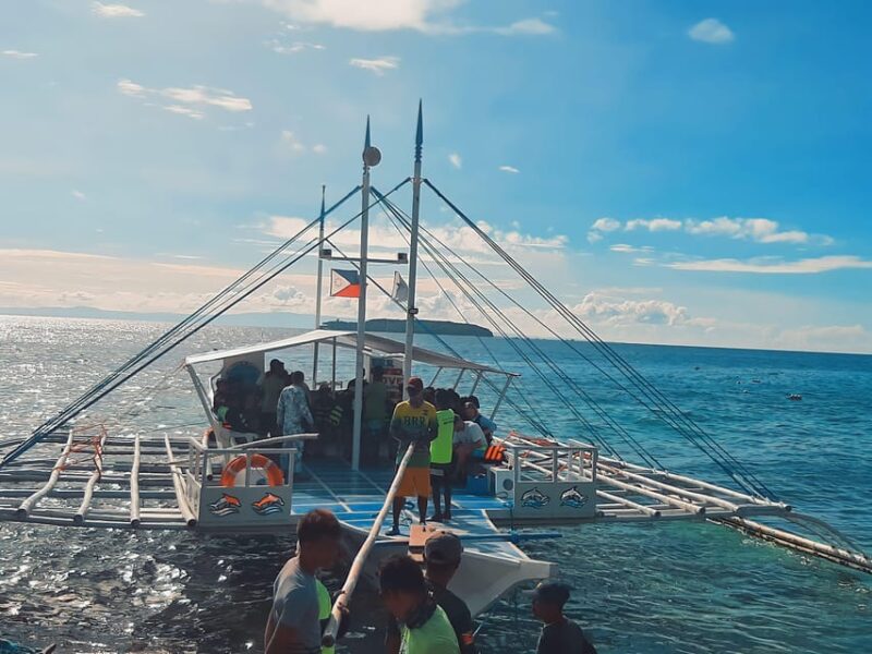 Oslob: Whaleshark Swimming, Tumalog Falls & Sumilon Island - Sumilon Island Retreat