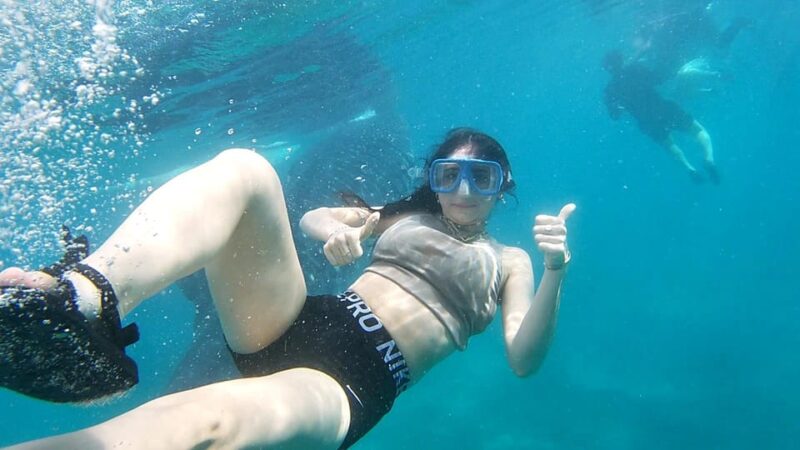 Oslob: Whaleshark Swimming, Tumalog Falls & Sumilon Island - Transportation and Pickup/Drop-off