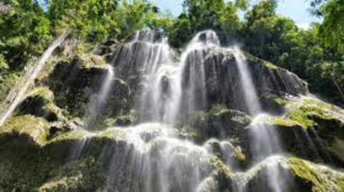 Oslob: Whaleshark Swimming, Tumalog Falls & Sumilon Island - What to Bring