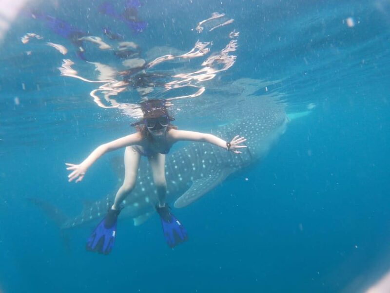 Oslob Whaleshark Watching & Inambakan Falls & Sardines Run - Inclusions and Important Information