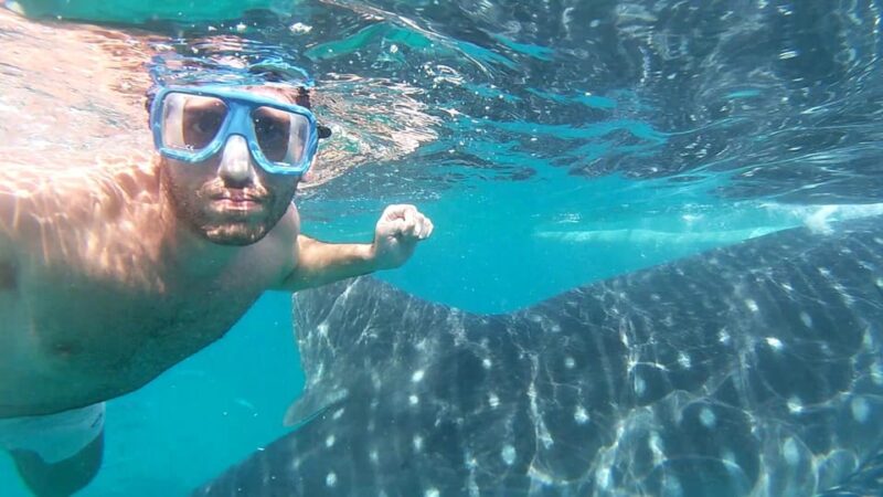 Oslob: Whaleshark Watching, Inambakan Waterfalls, and … - Included and Optional Extras